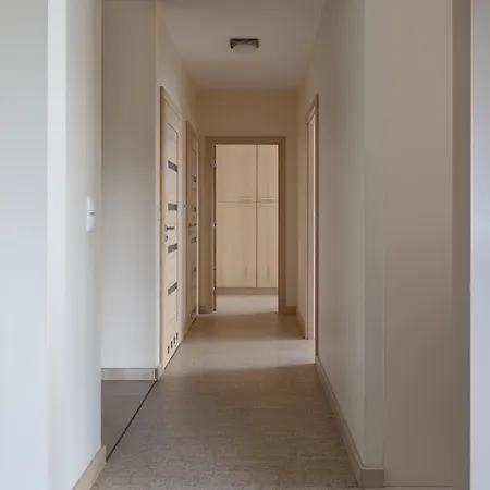Ina Rent Aviator * Gdańsk